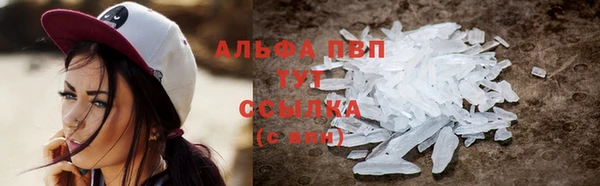сатива Арсеньев
