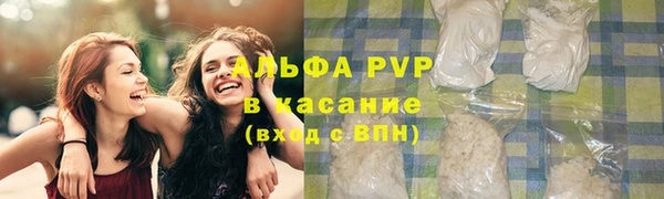 сатива Арсеньев