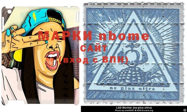 индика Алзамай