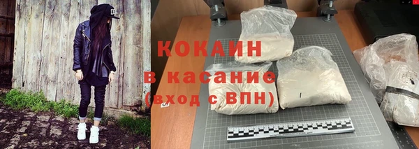 ешки Алексин