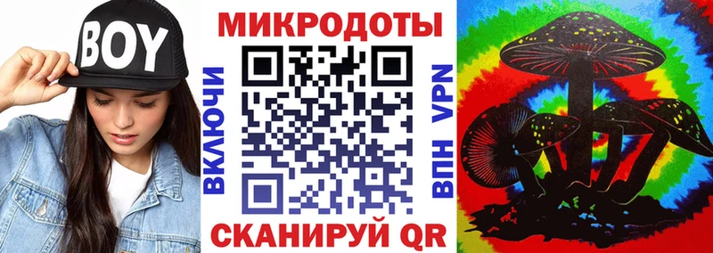 Купить закладки Карачаевск Псилоцибиновые грибы GOLDEN TEACHER
