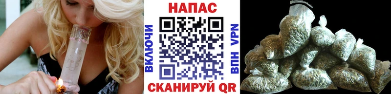 Купить закладки  Карачаевск  Марихуана семена 